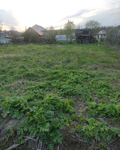 земля Аввакумовское сельское поселение, садоводческое некоммерческое товарищество Долгово, Тверь фото