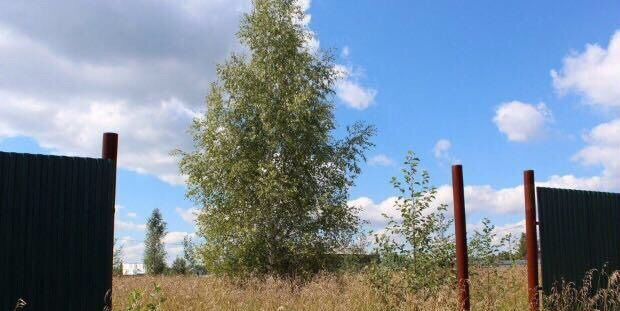 земля городской округ Клин д Орлово снт Орлово 78 км, Рогачево, Рогачёвское шоссе фото 3