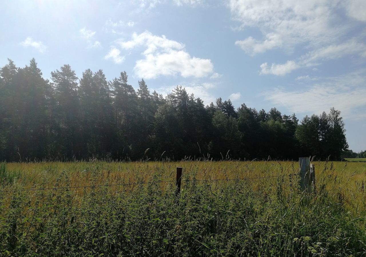 земля р-н Приозерский п Солнечное Трасса Сортавала, 9809 км, Плодовское сельское поселение, Коммунары фото 10