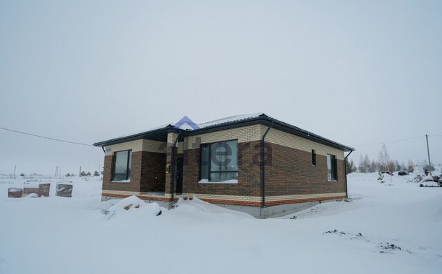 дом Набережно-Морквашское сельское поселение, Казань фото