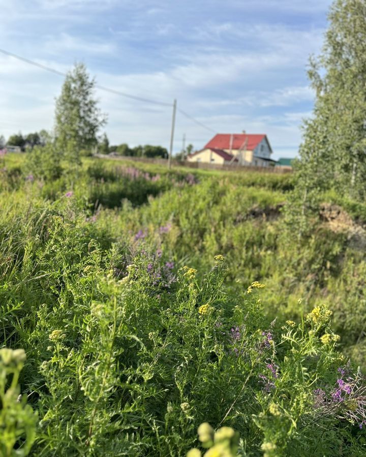 земля р-н Новгородский д Божонка Савинское сельское поселение, Пролетарий фото 11