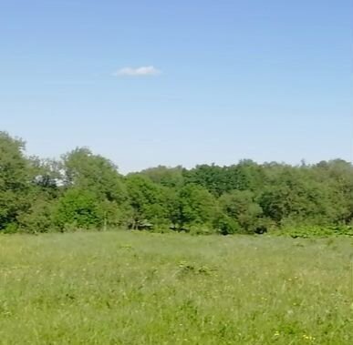 земля с Авчурино сельское поселение Авчурино, Калуга фото