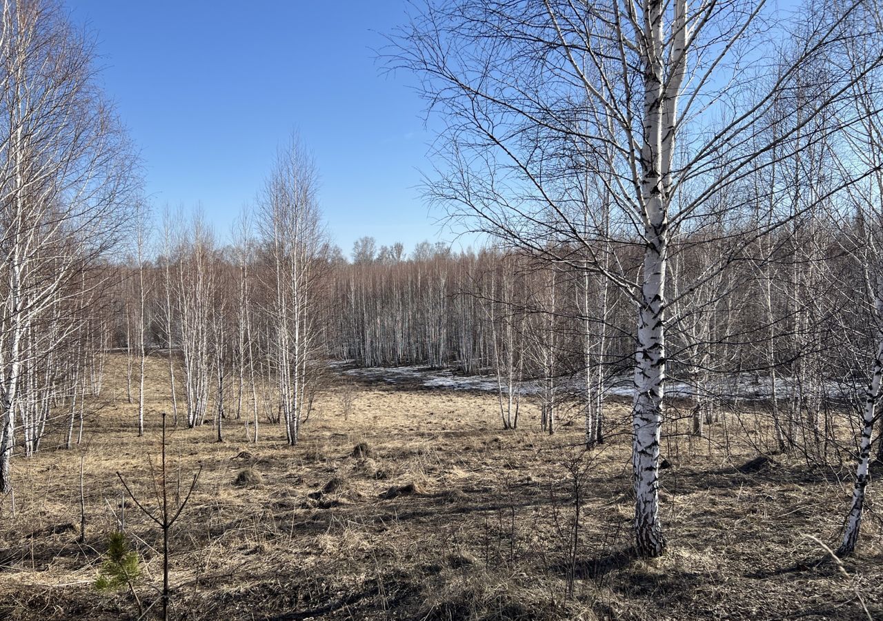 земля р-н Новосибирский Станционный сельсовет, Новосибирск фото 3