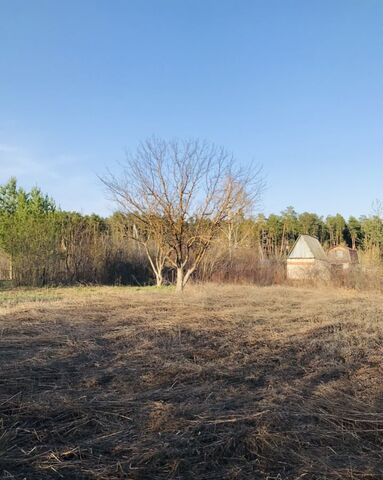 земля п Бирюлинского Зверосовхоза Бирюлинское сельское поселение, Высокая Гора фото