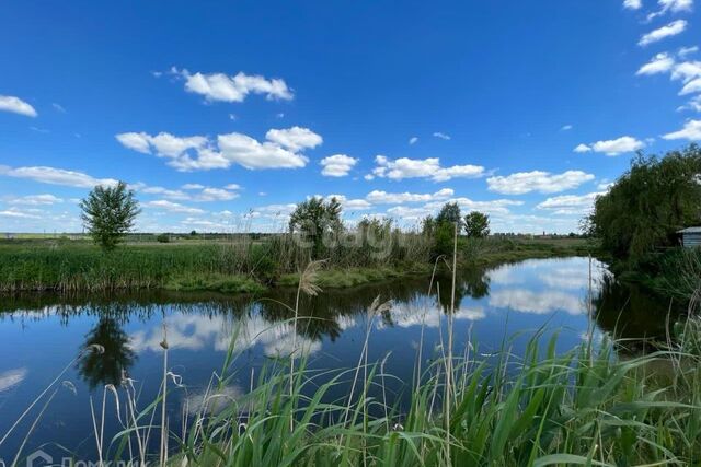 село Беломестное фото