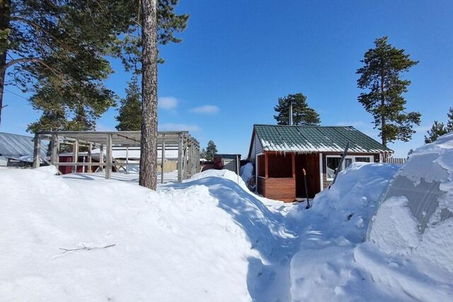 снт Дружба городской округ Муравленко, 2-й квартал, 12 фото