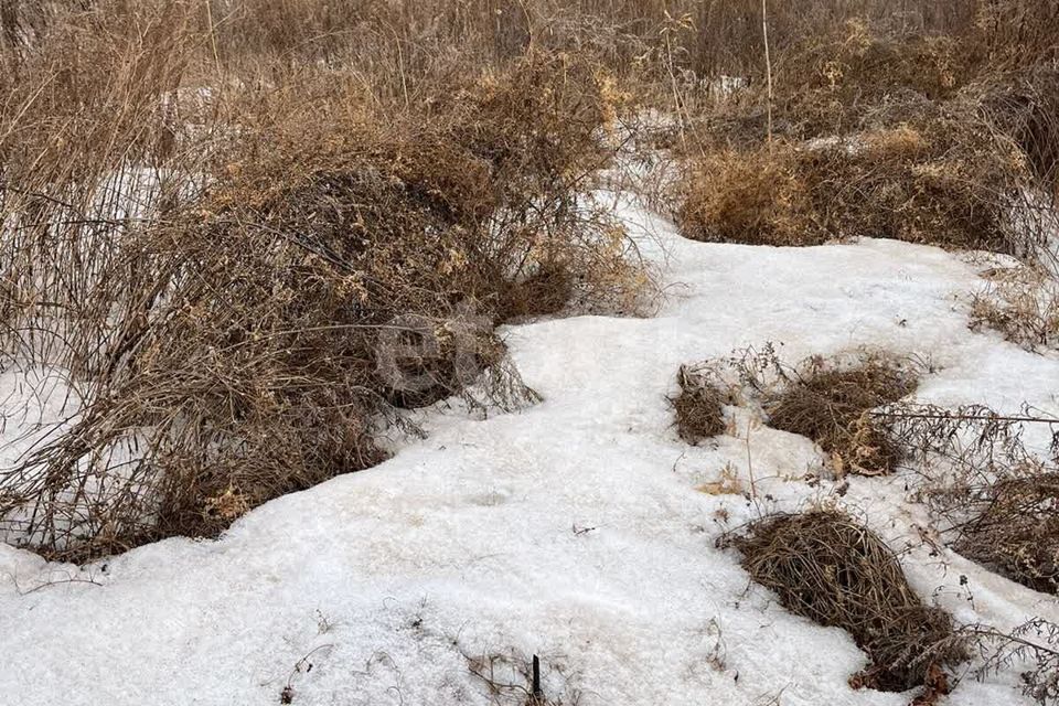 земля р-н Благовещенский село Кантон-Коммуна фото 6