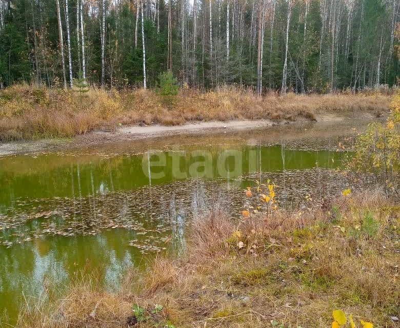 земля р-н Корткеросский посёлок Визябож фото 6