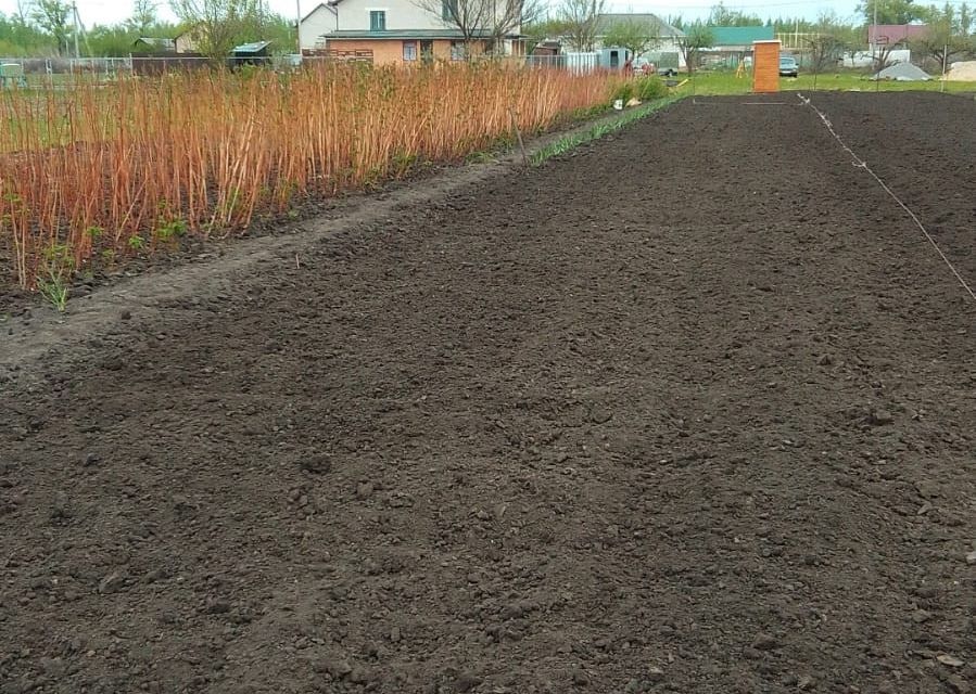 земля р-н Новоусманский п 1-го отделения совхоза "Новоусманский" ул Первомайская 18 фото 5