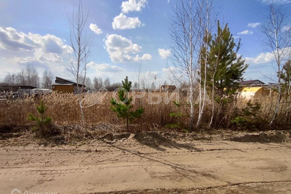 земля г Тюмень городской округ Тюмень, садовое товарищество Ясень фото 8