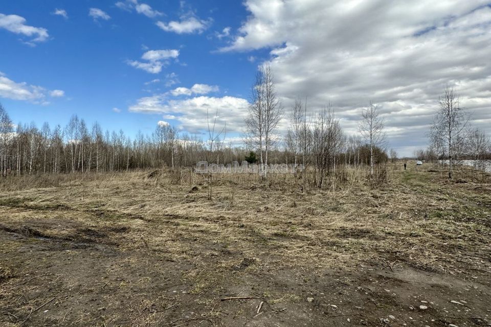 земля г Новокузнецк ул Шоссейная Новокузнецкий городской округ фото 5