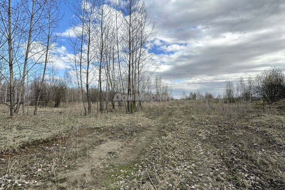 земля г Новокузнецк ул Шоссейная Новокузнецкий городской округ фото 6