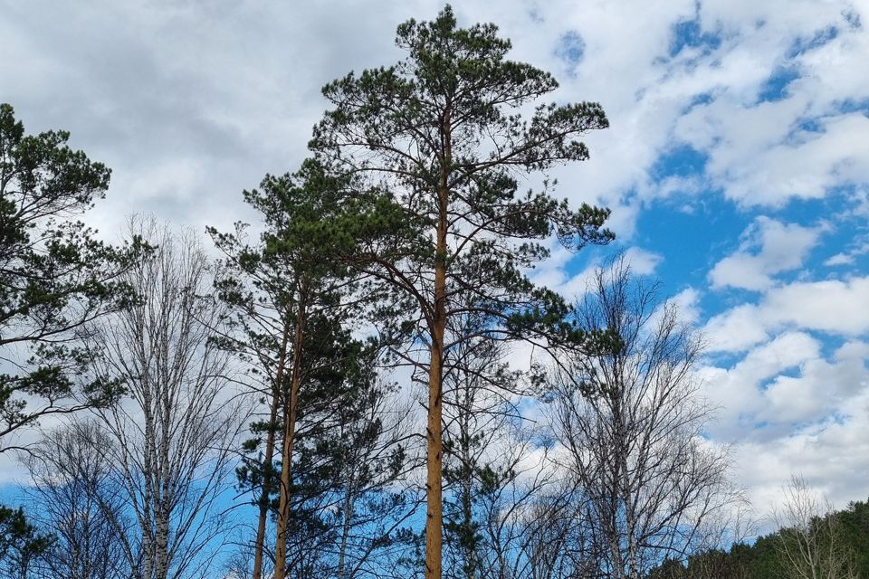 дом р-н Новокузнецкий с Куртуково ДСК Горняк фото 6