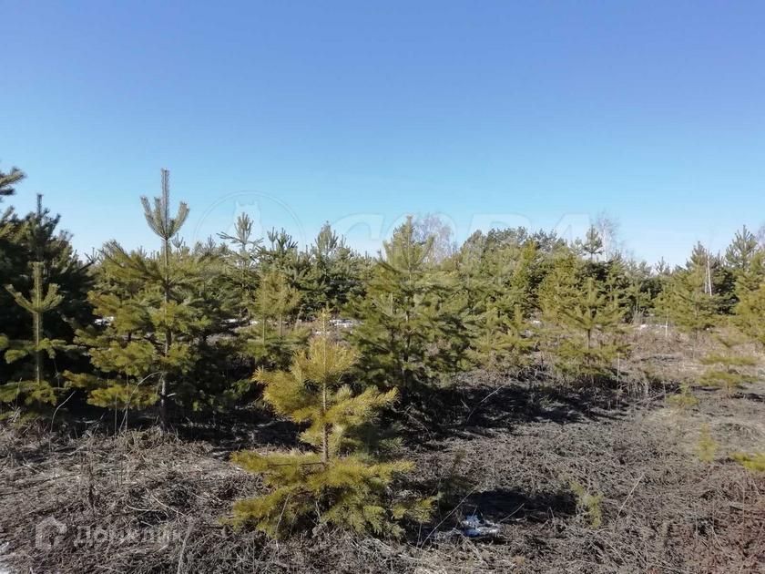 земля р-н Тюменский коттеджный посёлок Новокаменский фото 2