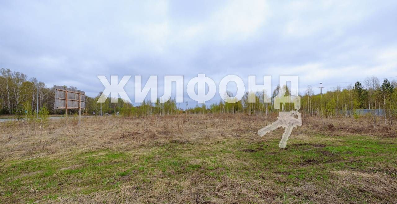 земля г Новосибирск ш Краснояровское фото 4