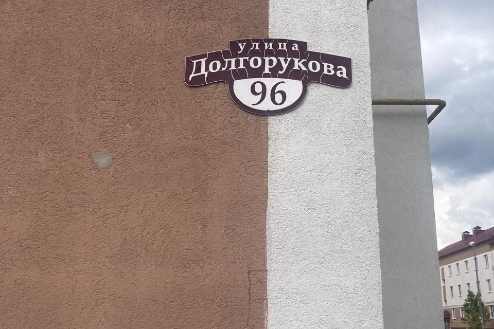 квартира г Пенза ул Долгорукова 96 городской округ Пенза фото 8