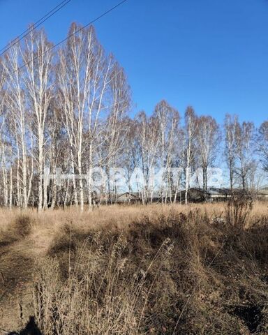 земля дом 1 Каменский сельсовет, Новосибирск фото