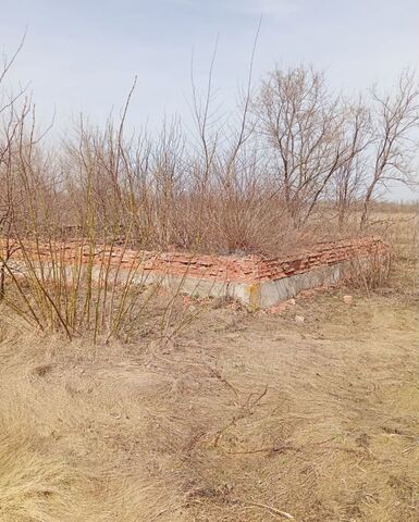 земля п им.Дзержинского Дзержинское сельское поселение, Воронеж фото