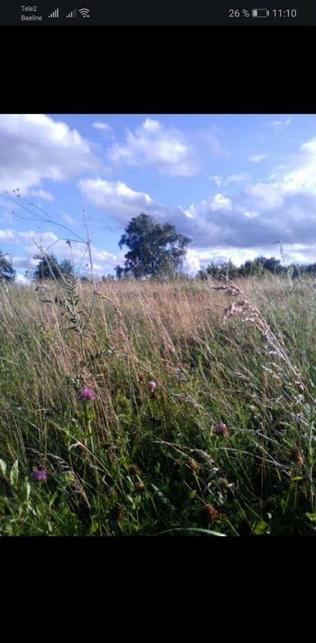 земля р-н Старооскольский с Новокладовое ул Народная Старый Оскол фото 1