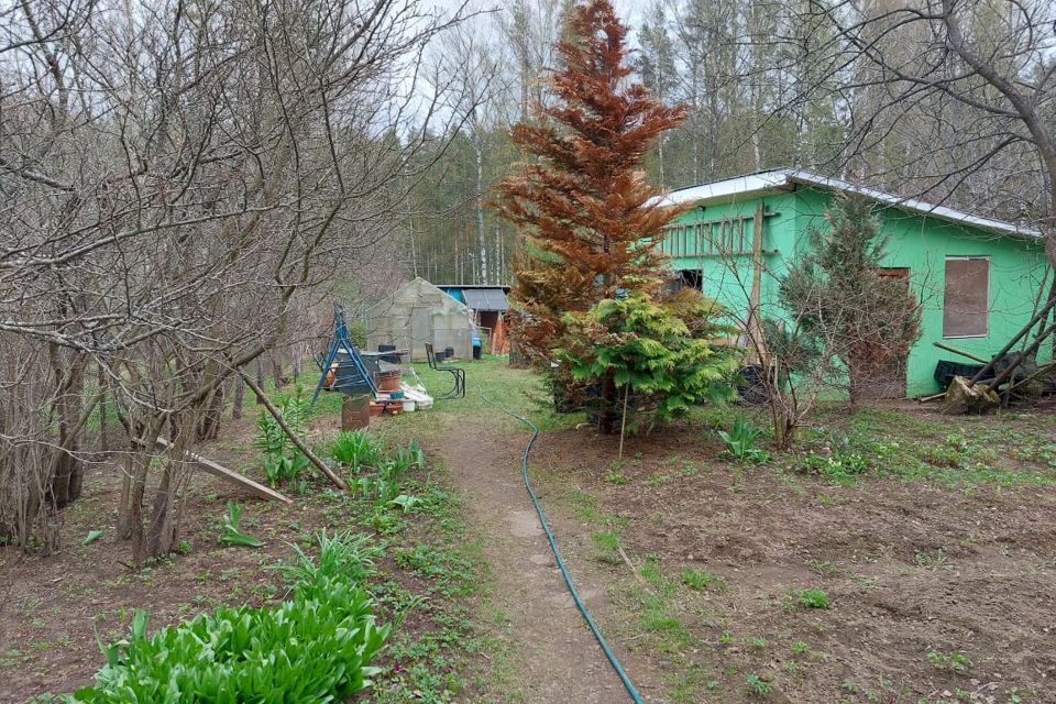 дом р-н Приозерский посёлок Сосново фото 5