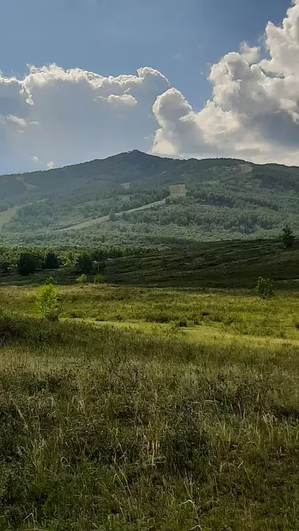 дом р-н Абзелиловский д Зеленая Поляна ул Гагарина 27 фото 13