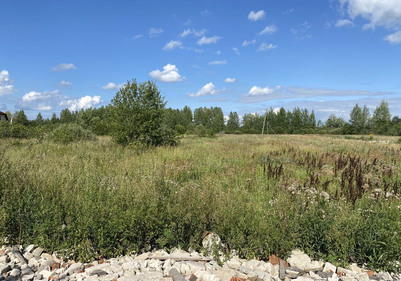 земля р-н Новгородский д Григорово ул Северная Ермолинское сельское поселение, Великий Новгород фото 4