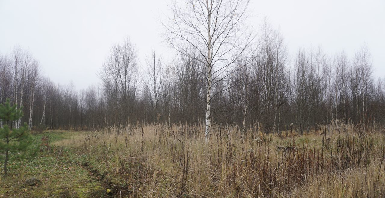 земля городской округ Можайский д Авдотьино днп терИскона Можайск фото 8