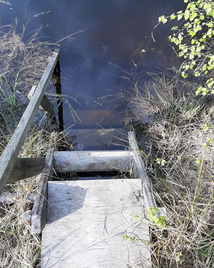 земля городской округ Шатура д Сидоровская Шатура фото 16