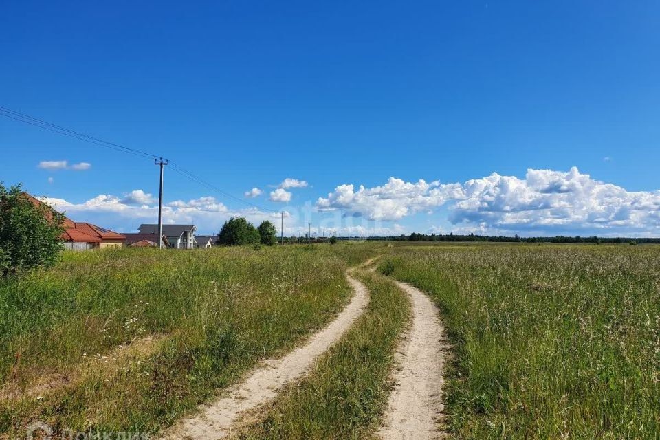 земля р-н Новоусманский с Новая Усмань ул Луговая фото 1