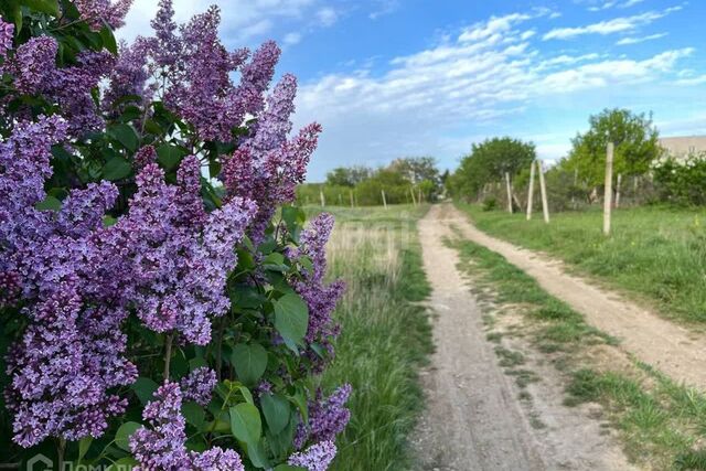 городской округ Феодосия, садовые участки Очистные, Облепиховая улица фото