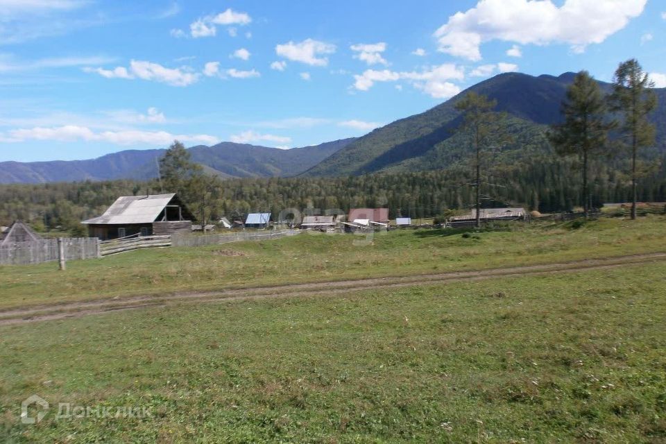 земля р-н Усть-Коксинский посёлок Кучерла фото 4