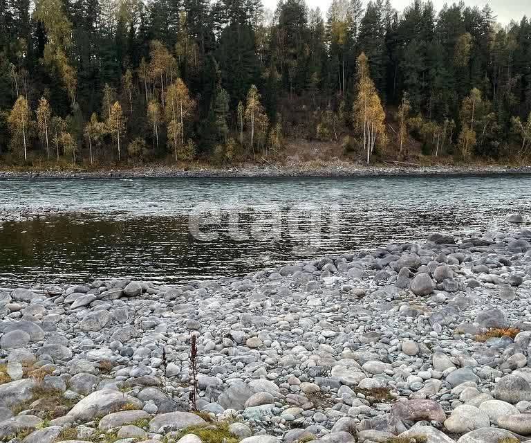 земля р-н Турочакский село Тулой фото 4