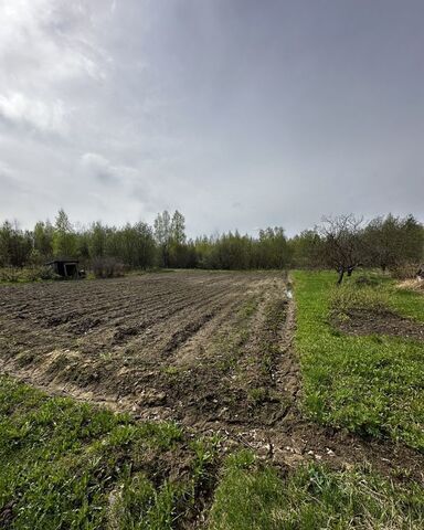 Новоталицкое сельское поселение фото