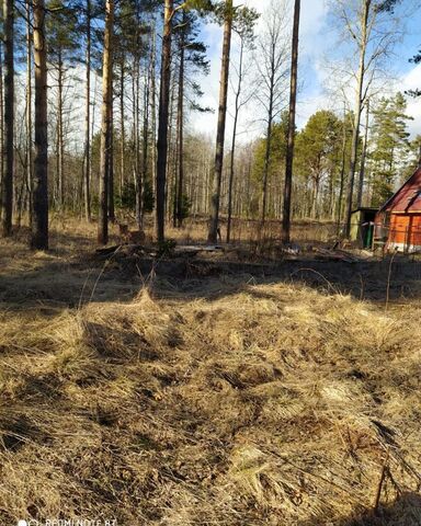 Питкярантское городское поселение, Питкяранта фото