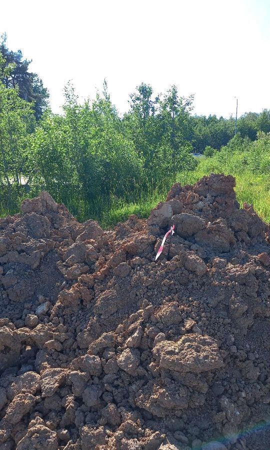 земля р-н Гатчинский д Вайя б-р Царскосельский 24 Веревское сельское поселение, Гатчина фото 20