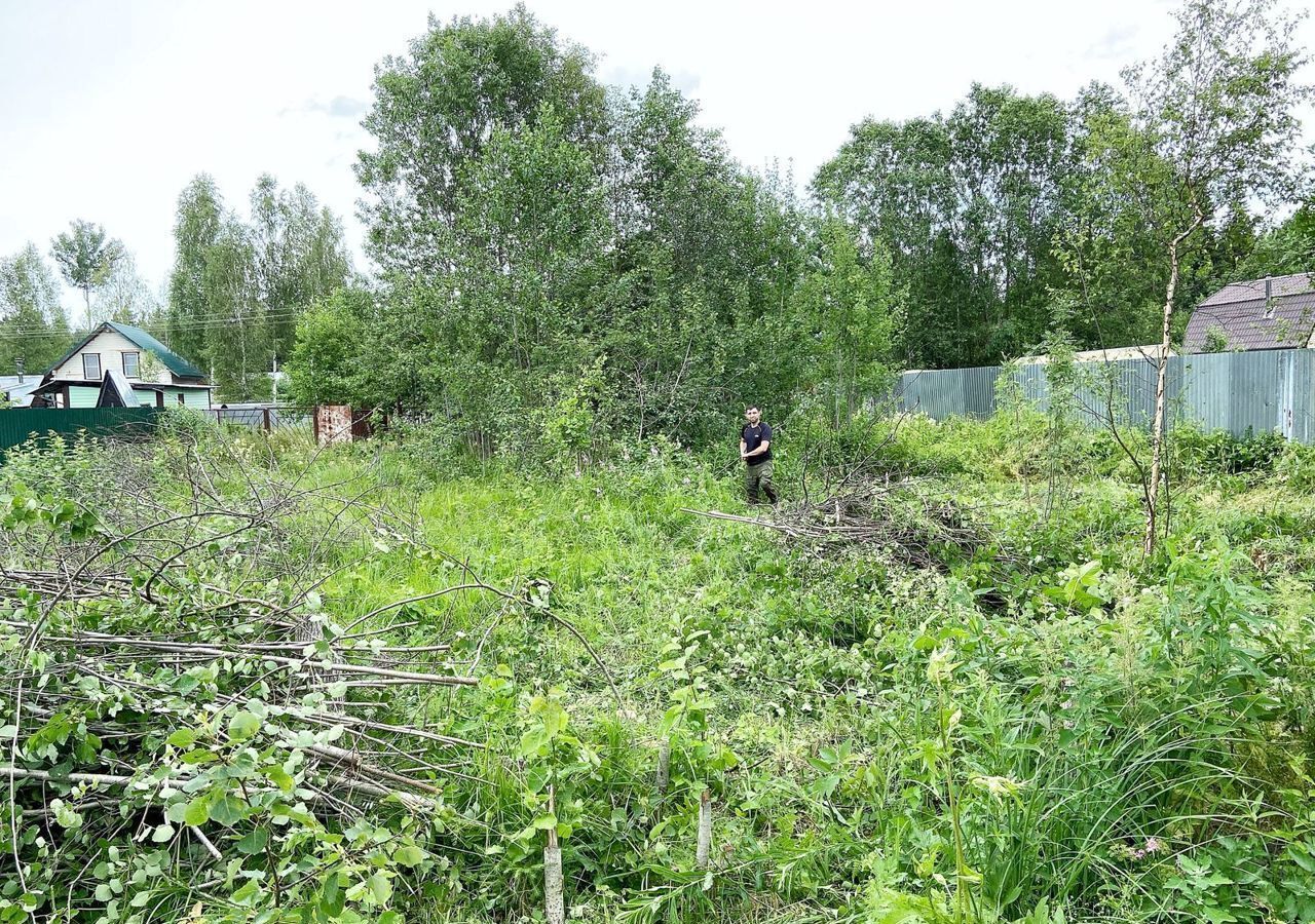 земля городской округ Талдомский п Вербилки садовое товарищество ТМЗ, Ромашковая ул фото 1