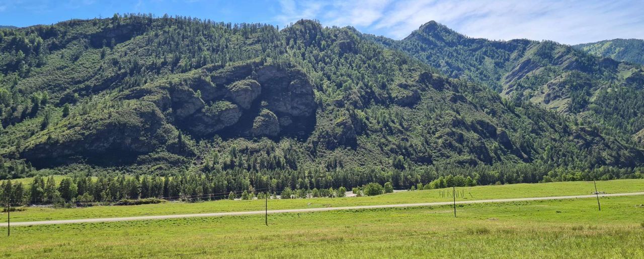 земля р-н Чемальский с Чемал Горно-Алтайск фото 15