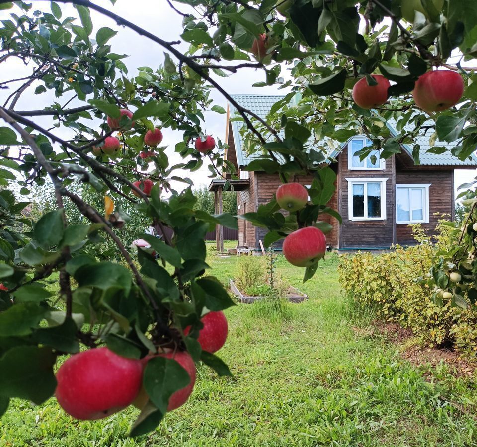 дом р-н Новгородский д Хутынь Савинское сельское поселение, Великий Новгород фото 6