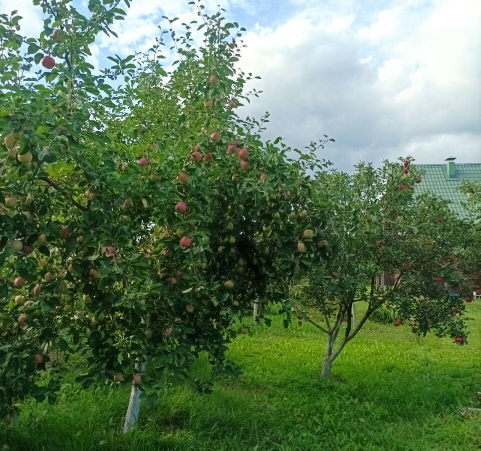 дом р-н Новгородский д Хутынь Савинское сельское поселение, Великий Новгород фото 39