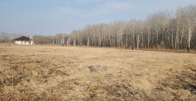 земля с Виноградовка Мичуринское сельское поселение, квартал Красное Поле, Хабаровск фото