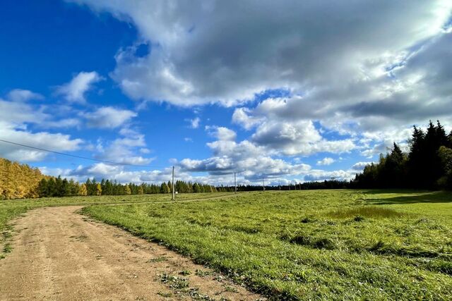 село Подъячево фото