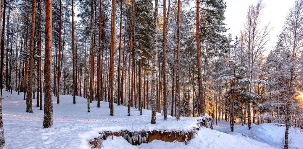 квартира г Воронеж р-н Железнодорожный ул Минская 69/1 фото 22