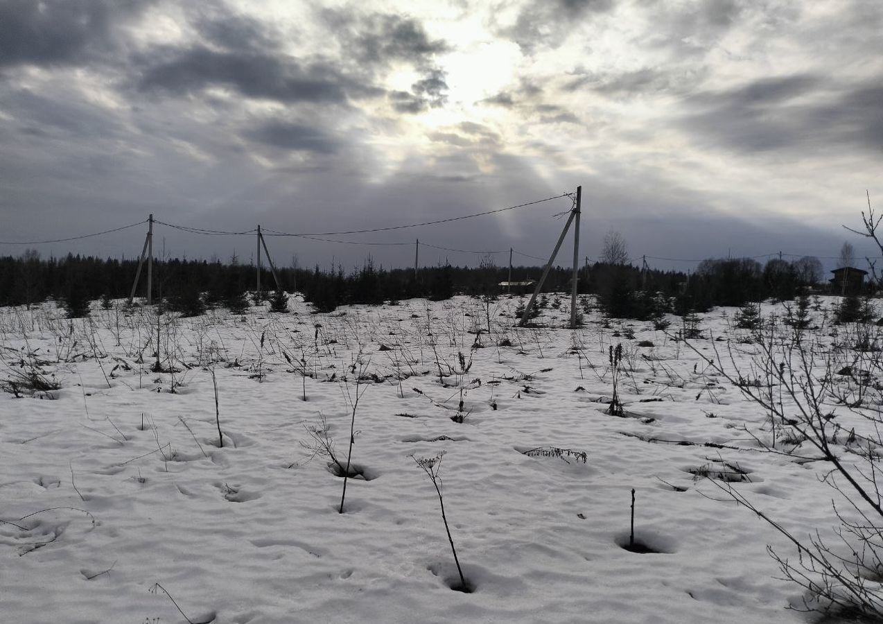 земля городской округ Истра п Глебовский 4, д. Матвейково, г. о. Истра фото 4