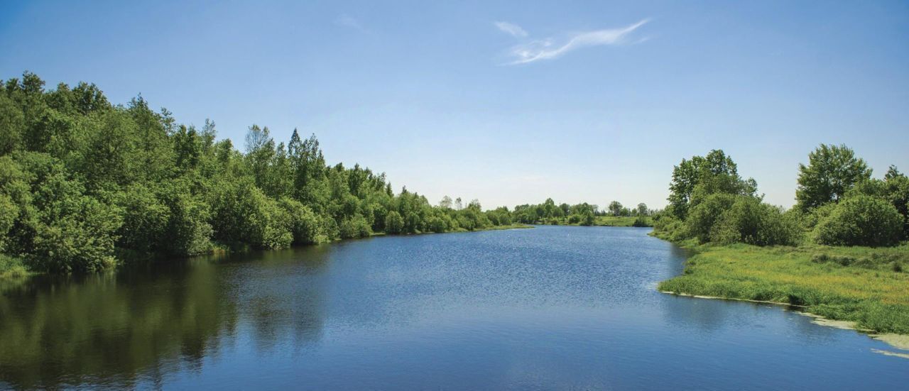 земля р-н Тосненский д Ладога Федоровское городское поселение фото 1