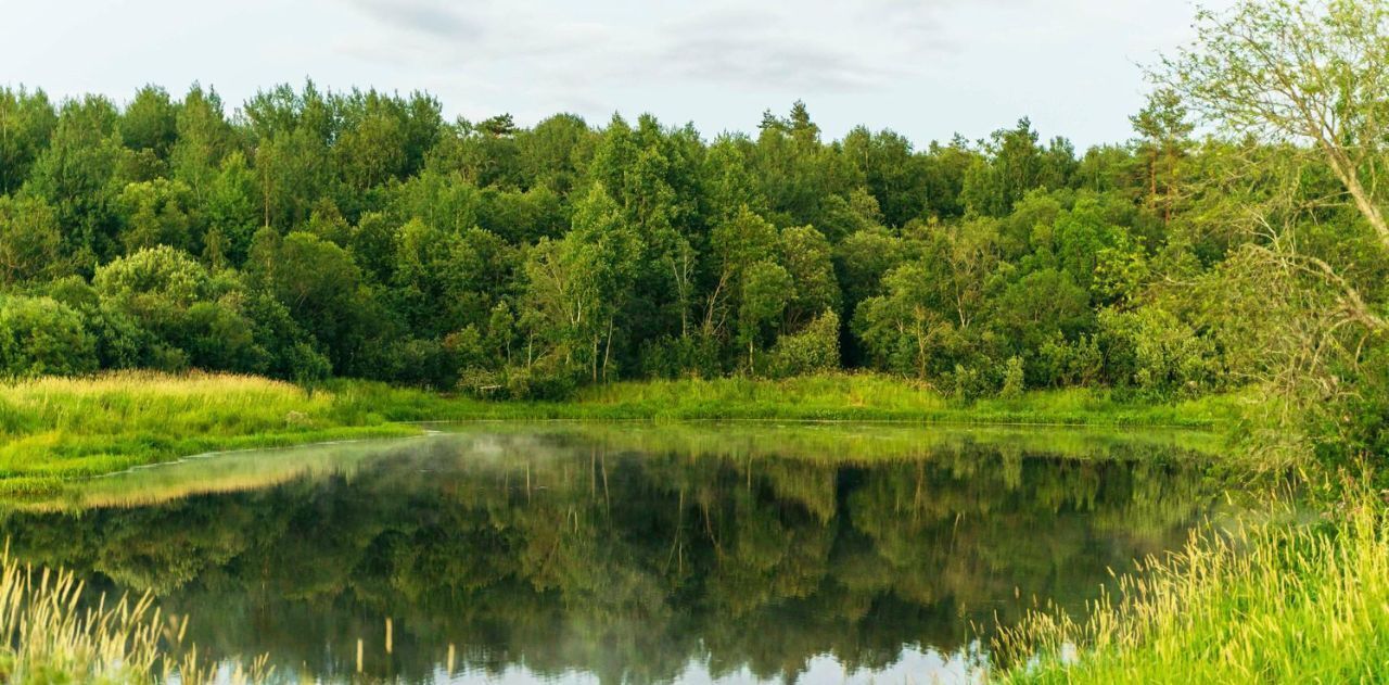 земля р-н Тосненский д Ладога Федоровское городское поселение фото 2