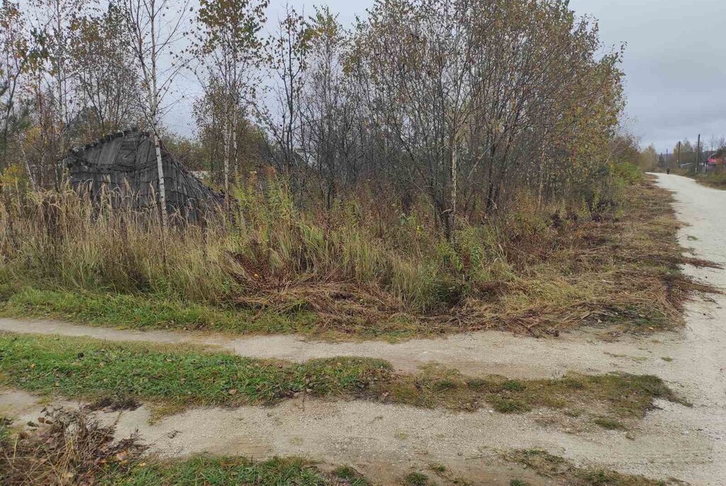 земля р-н Богородский д Ягодное снт Ягодное Богородский муниципальный округ, сектор В, 331 фото 3