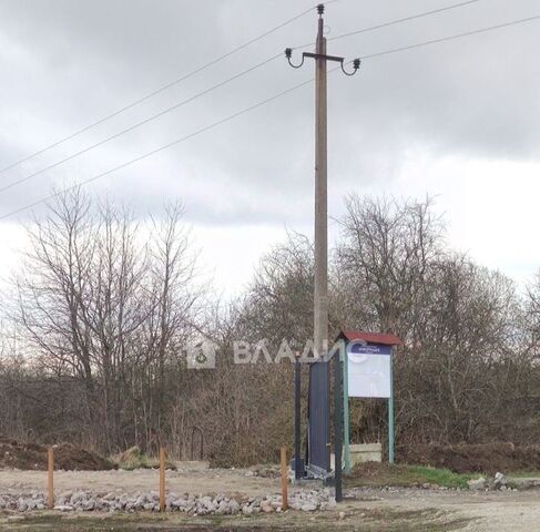 г Зеленоградск Ольшанское садовое товарищество фото