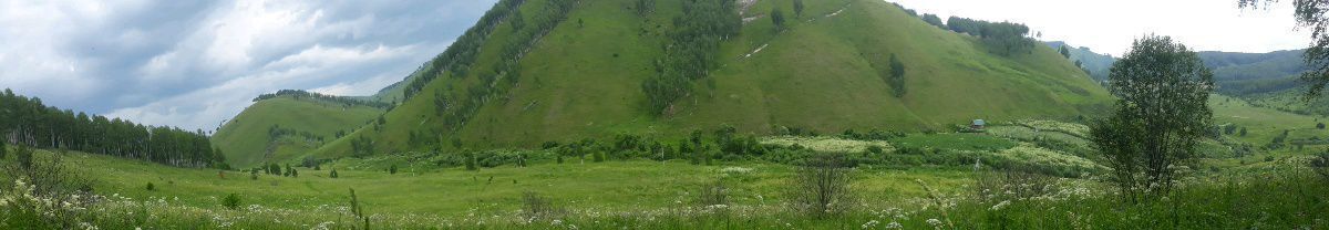 земля р-н Алтайский Республика Алтай, Горно-Алтайск фото 3