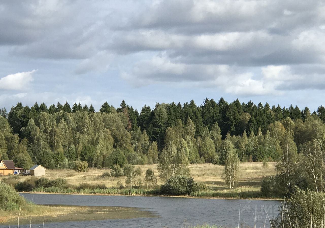 земля городской округ Шаховская коттеджный пос. Новорижский пляж фото 4