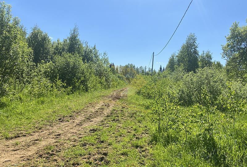 земля городской округ Дмитровский д Пески Солнечногорск фото 4